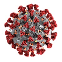 Corona Virus